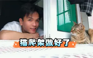 Download Video: 大古和他的猫｜答应乔熹的猫爬架做好了，大家看看怎么样？