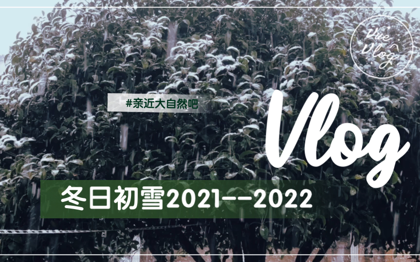 [图]2021年--2022年的第一场初雪！孤寂绝尘这背景适合不过了？