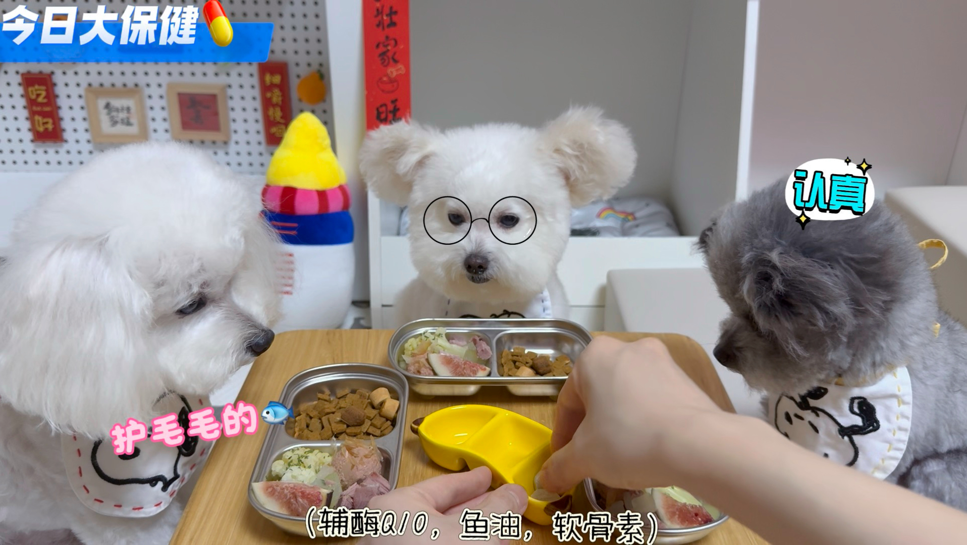 天天被催更的小饭桌，我们来啦！