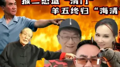 武知海青 クッション ラフィエスタ