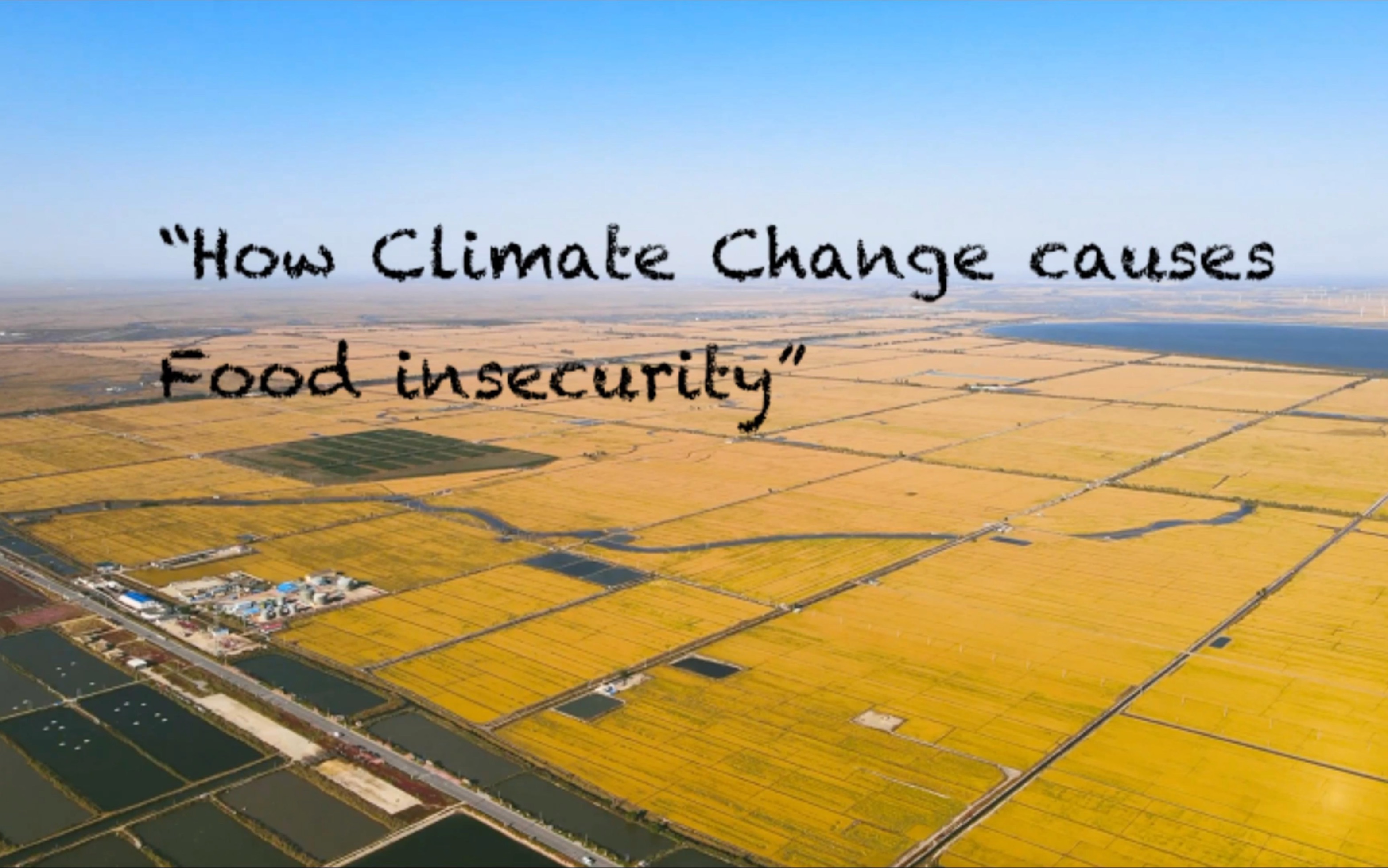 "how climate change causes food insecurity"