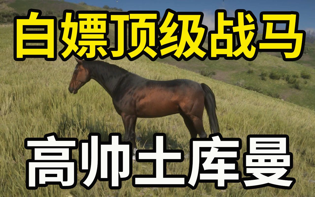 [图]【荒野大镖客2】教你白嫖深骝色土库曼种马