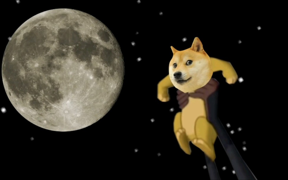 狗狗币上月球