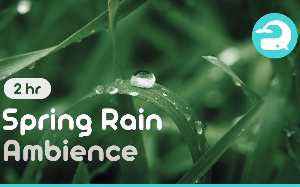 youtube搬运学习专用提升专注力春雨白噪音springrainambiencestay