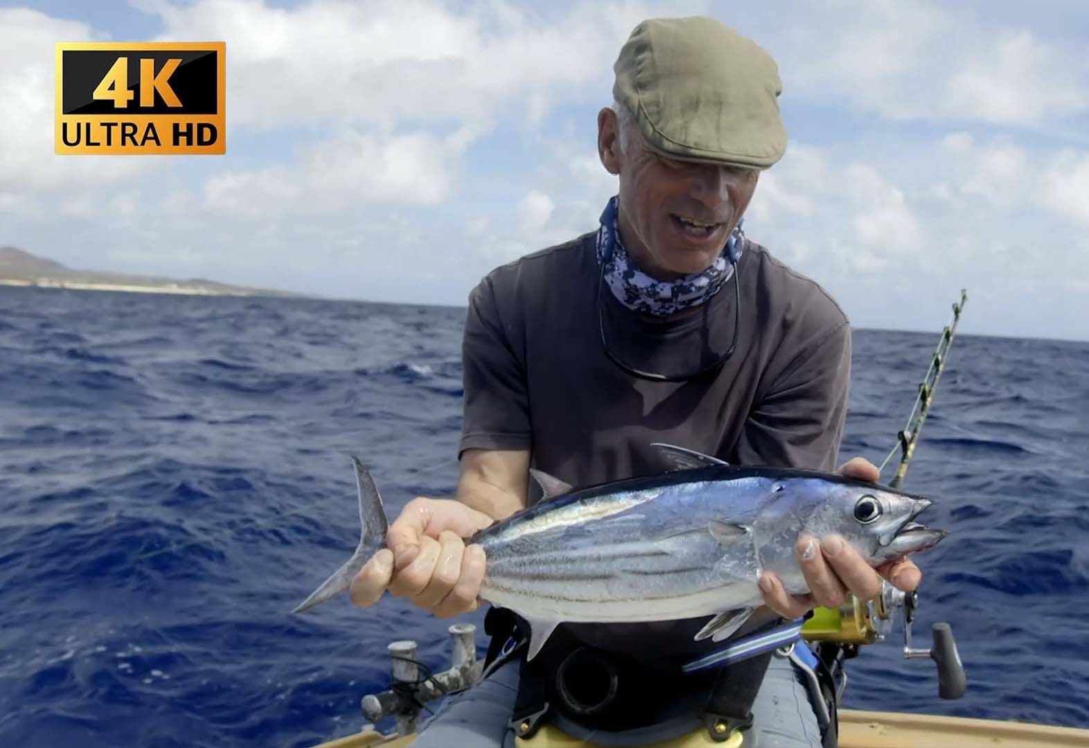 杰瑞米瓦德:巴拿马群岛海洋深渊猛兽!六腮鲨