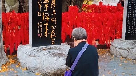 “从来银杏不负秋”,这里是日照市莒县浮来山的天下第一银杏树哔哩哔哩bilibili