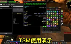 Download Video: 拍卖行插件TSM、AuctionFaster推荐