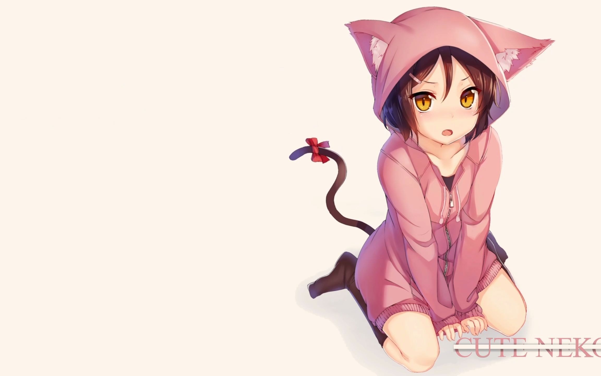 engineer】桌面美化 动态壁纸 分享 第十七期 可爱的美少女