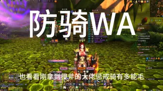 Download Video: 防骑懒人WA魔兽世界正式服