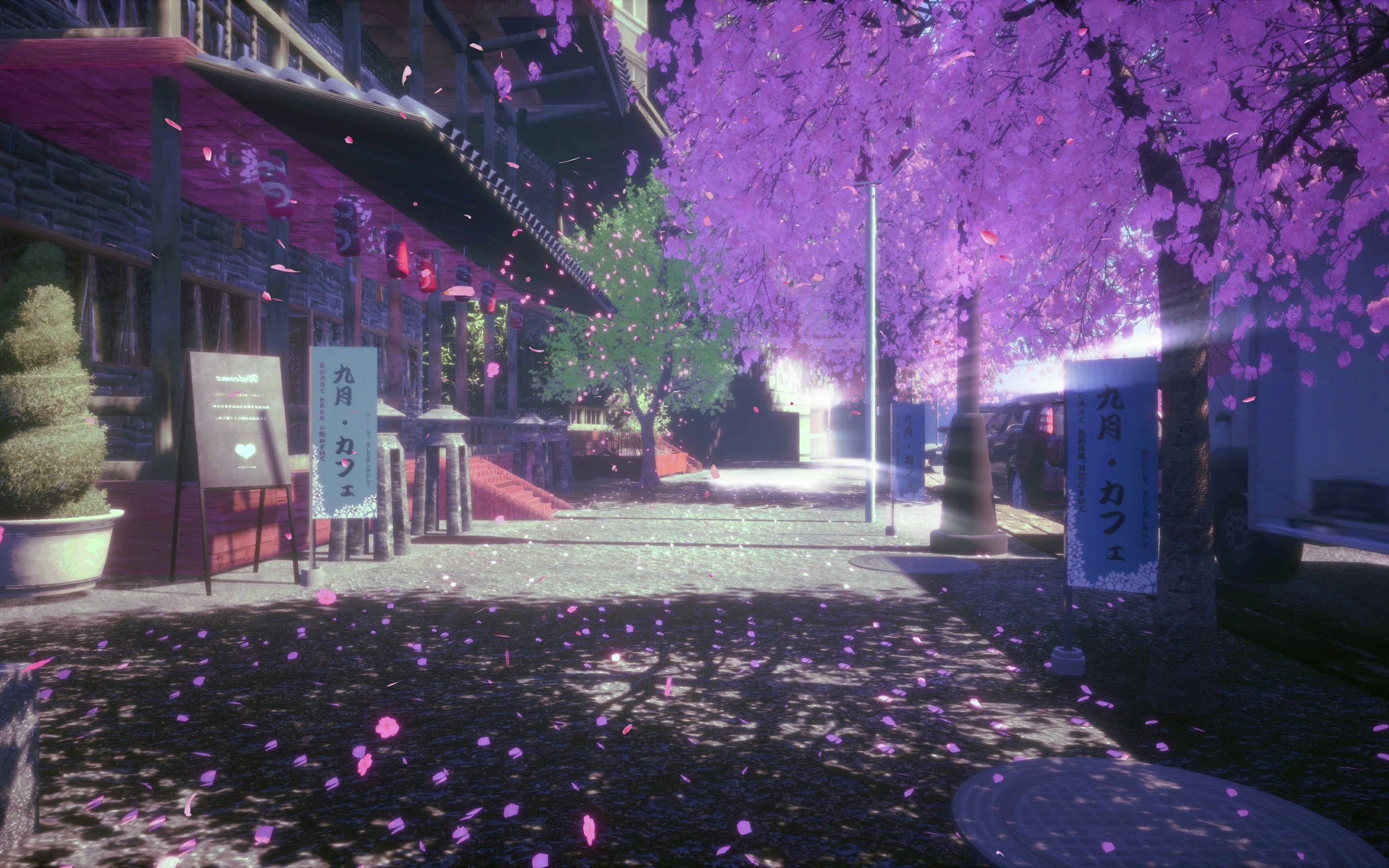 日本街头樱花动态壁纸