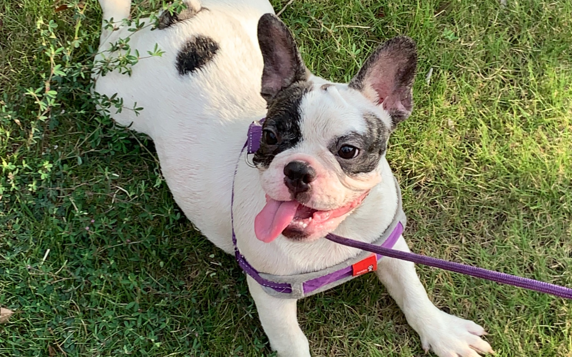 九月美好日常啾啾～