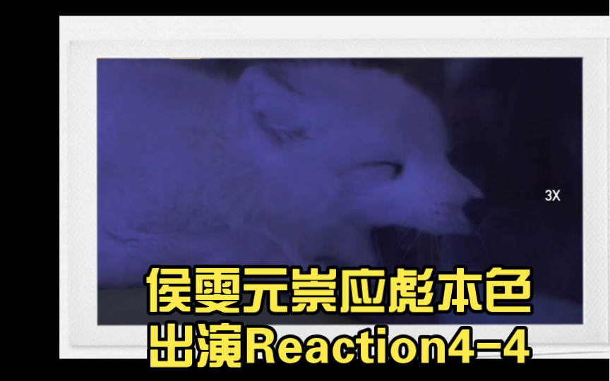 侯雯元崇应彪本色出演Reaction44哔哩哔哩bilibili