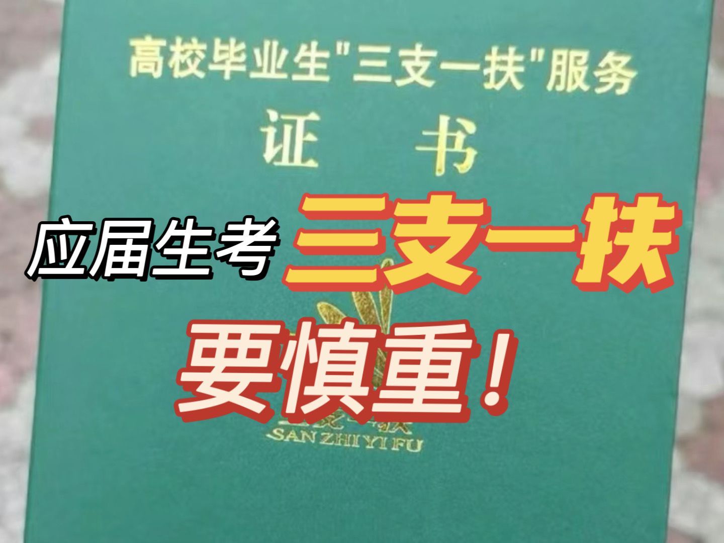 应届生千万不要盲目去考三支一扶,湖南的三支一扶期满就转编,或许这是今年给国家打工最后的机会了!哔哩哔哩bilibili