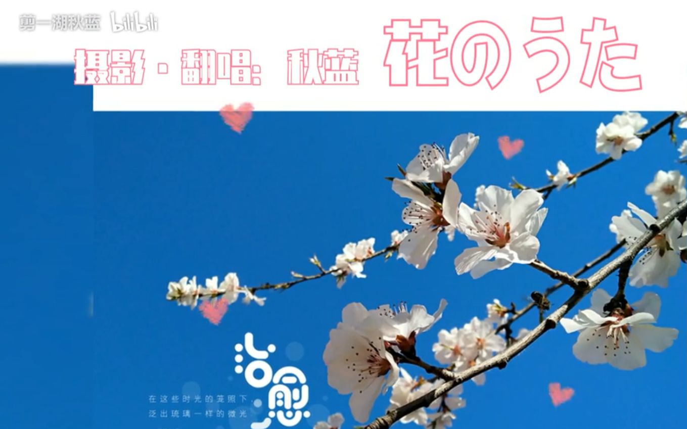 [图]【秋蓝】花のうた丨花之歌（原创花草摄影MAD）想成为你的花儿啊