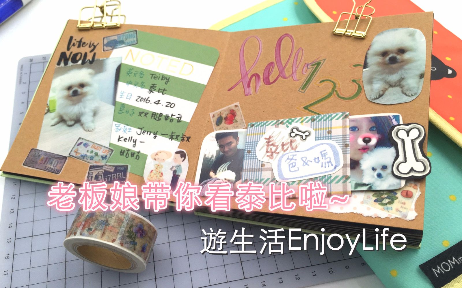 【游生活EnjoyLife】老板娘带你看泰比啦~哔哩哔哩bilibili