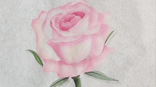 水墨画 15 简单易学的水墨玫瑰花 哔哩哔哩 つロ干杯 Bilibili