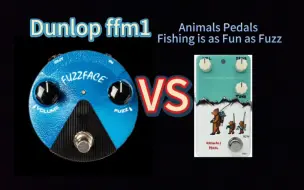 Télécharger la video: 【入门fuzz对比】Dunlop ffm1 vs Animals Pedals Fishing is as Fun as Fuzz