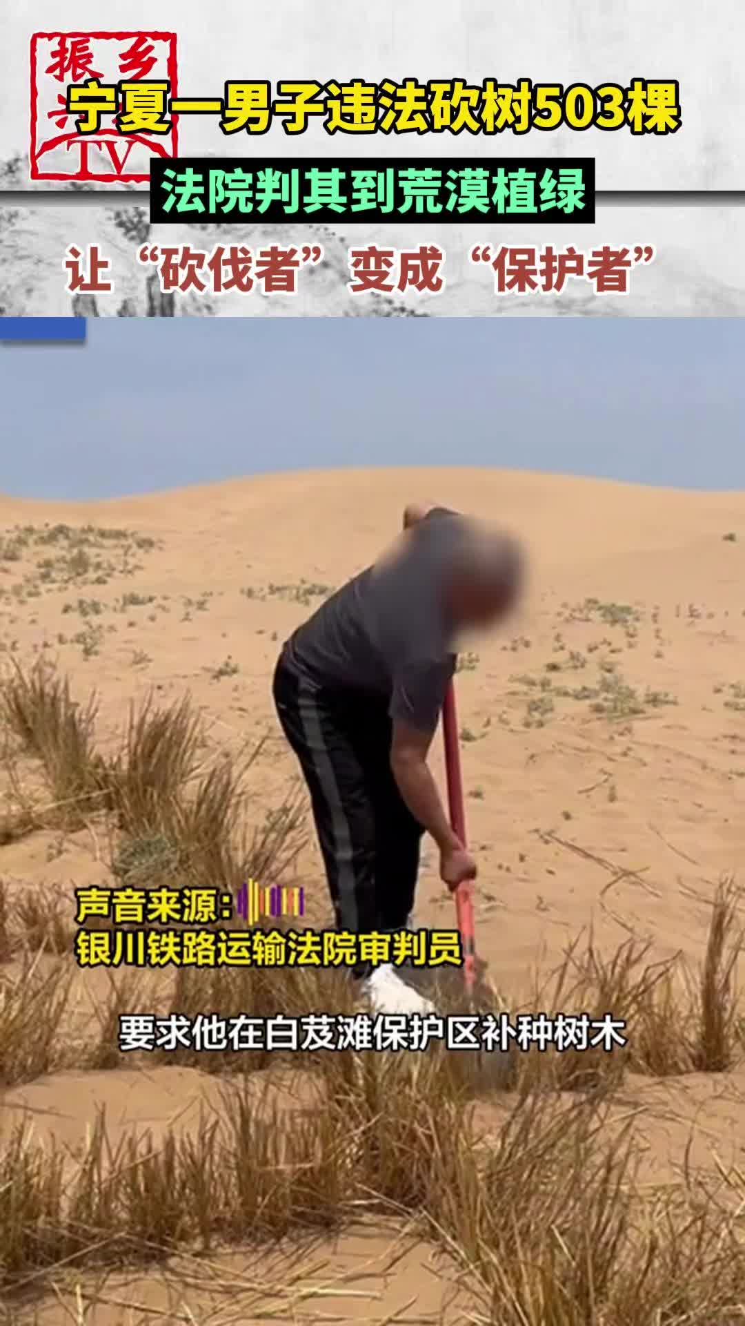 宁夏一男子违法砍树503棵 法院判其到荒漠植绿哔哩哔哩bilibili