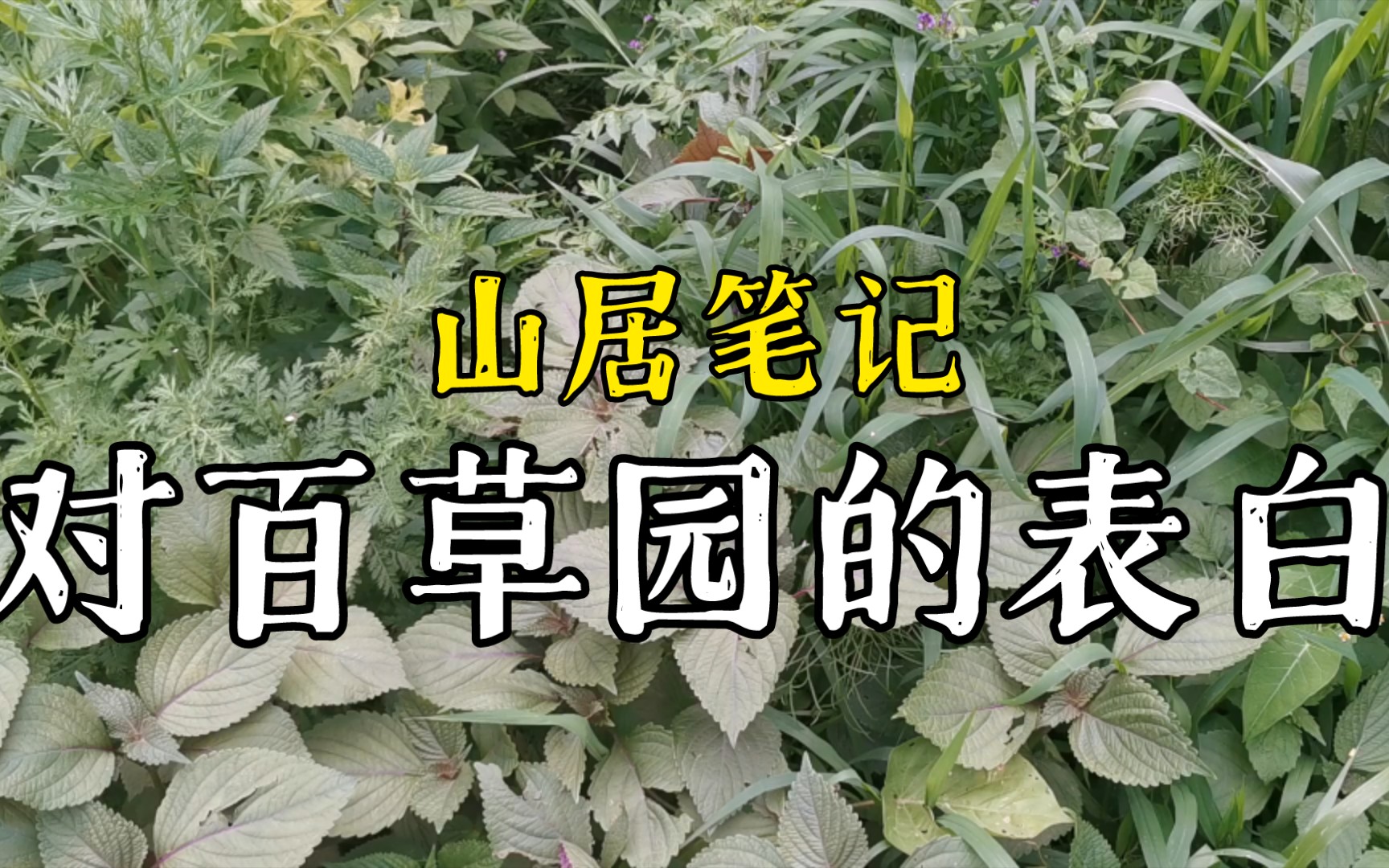 [图]山居｜今天对百草园表白