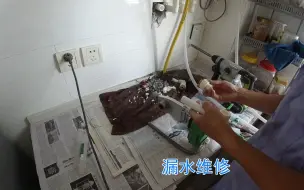 Скачать видео: 水管焊接处几年后漏水，是技术问题还是材料问题，大家分析一下