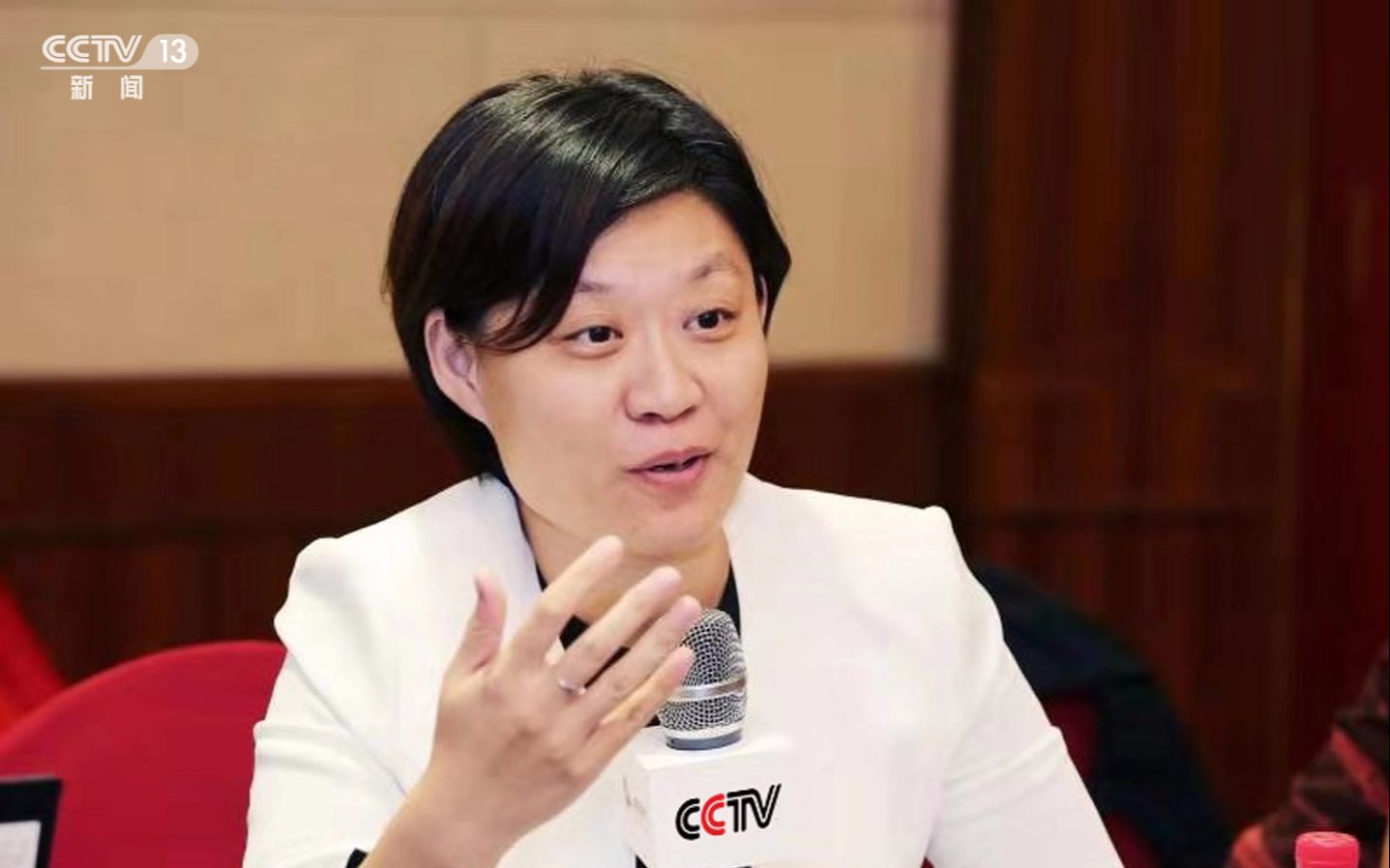 刑事律师李扬教授讲:刑事案件谁可作证人(二)