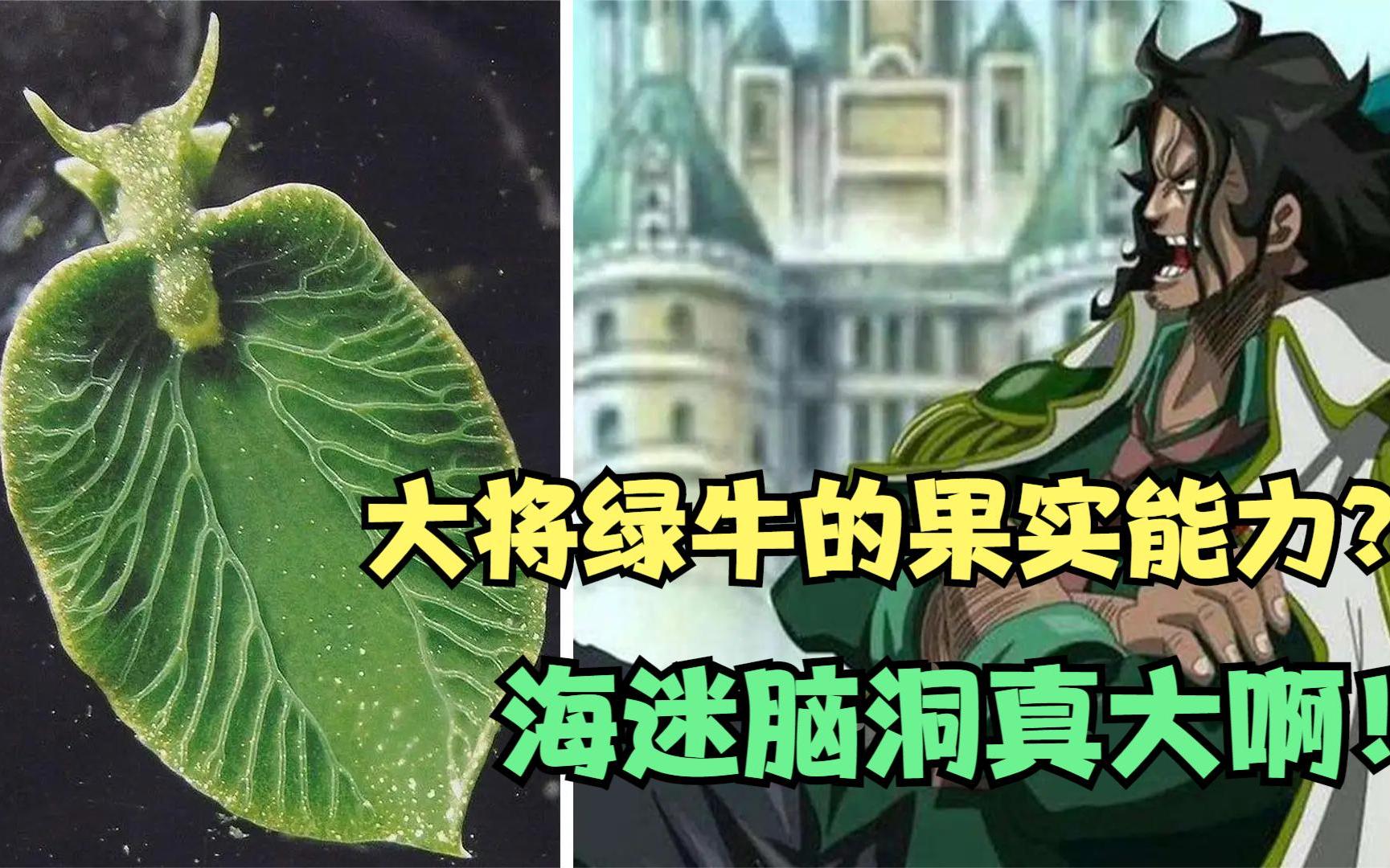 活动  众多海迷探讨大将绿牛的果实能力,脑洞极大啊!