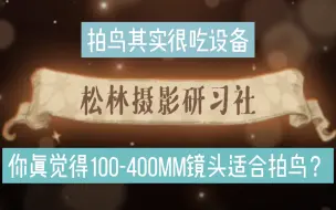 Download Video: 你真觉得100-400mm镜头适合拍鸟？实践出真知，600mm是最低配