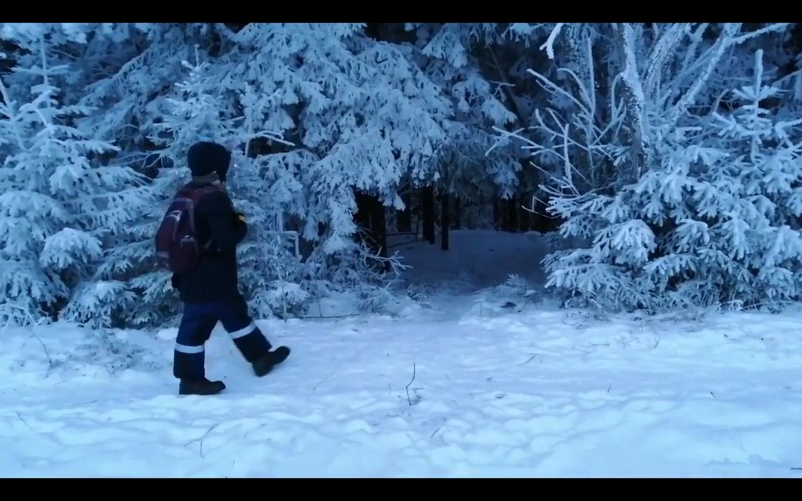 来到冰天雪地的西伯利亚森林,零下30度冰天雪地,欣赏令人震撼的美景哔哩哔哩bilibili