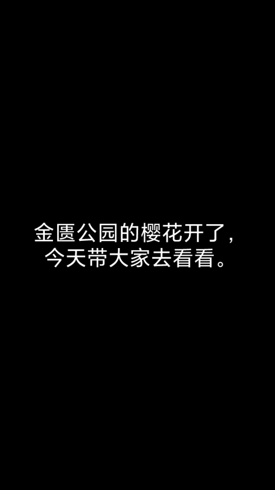 无锡金匮公园赏樱花哔哩哔哩bilibili