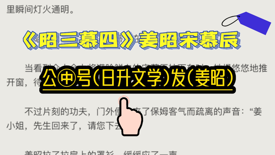 今日优质小说《昭三慕四》姜昭宋慕辰哔哩哔哩bilibili