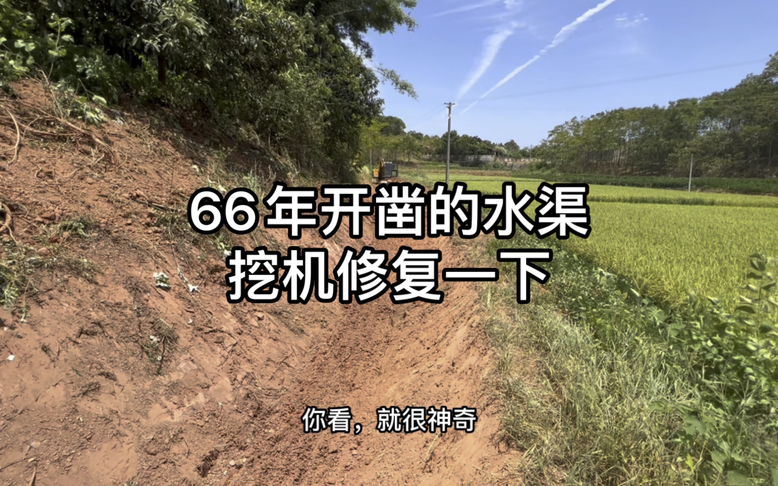 连续高温不下雨,挖机修复66年开凿的水渠,等黄石水库放水抗旱.哔哩哔哩bilibili