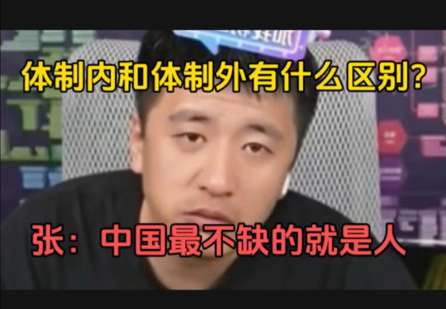 体制内和体制外有什么区别?张:中国最不缺的就是人哔哩哔哩bilibili