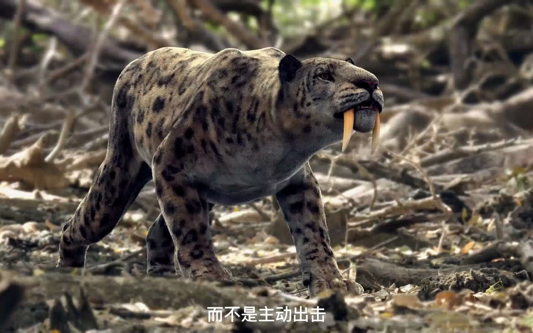 剑齿虎——原来只是叫剑齿虎而已