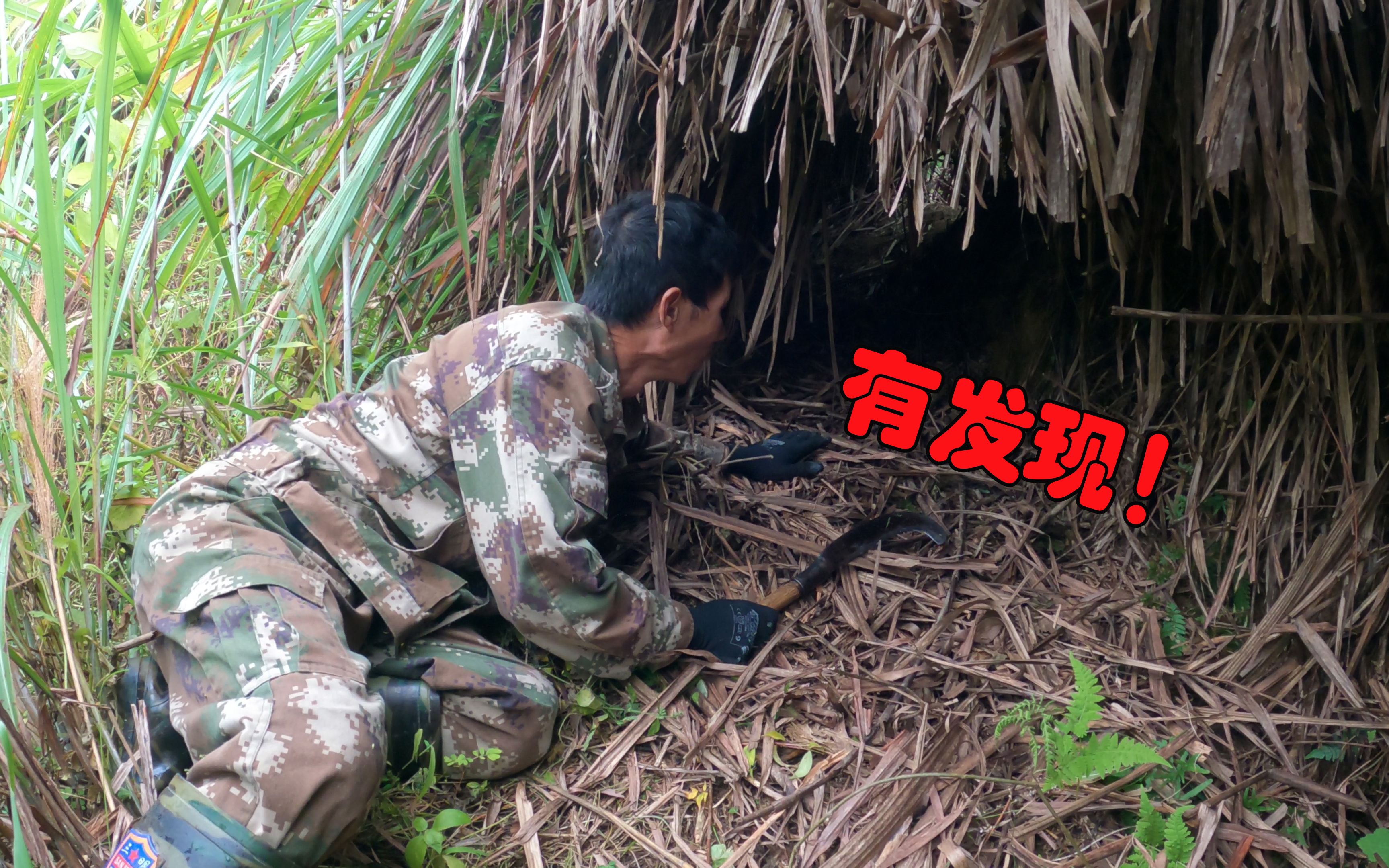 [图]深山里给朋友找草药，在芦苇洞中发现了什么好东西，立刻爬进去