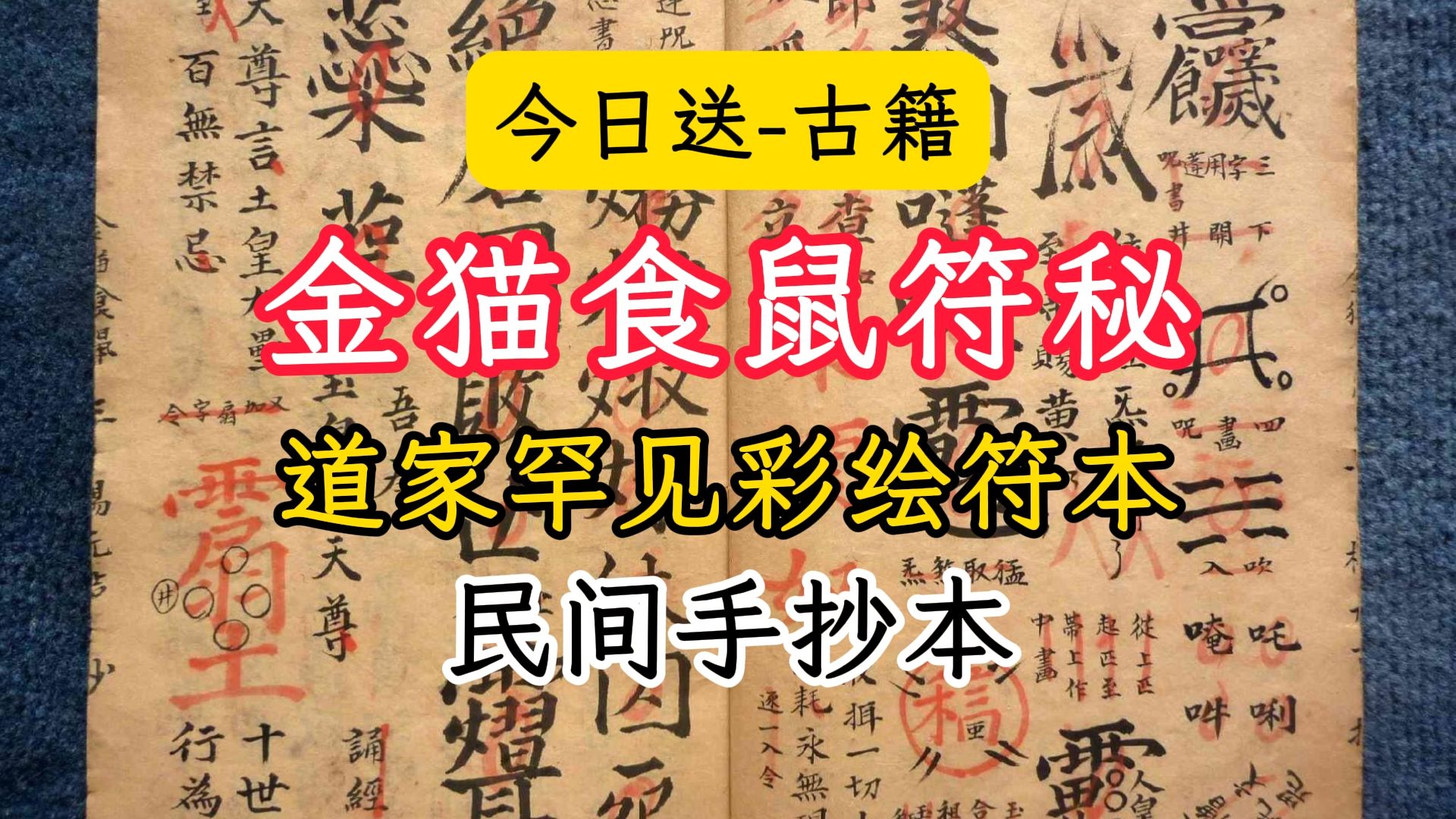 古籍送书金猫食鼠符秘罕见道教民间彩色手抄符箓哔哩哔哩bilibili