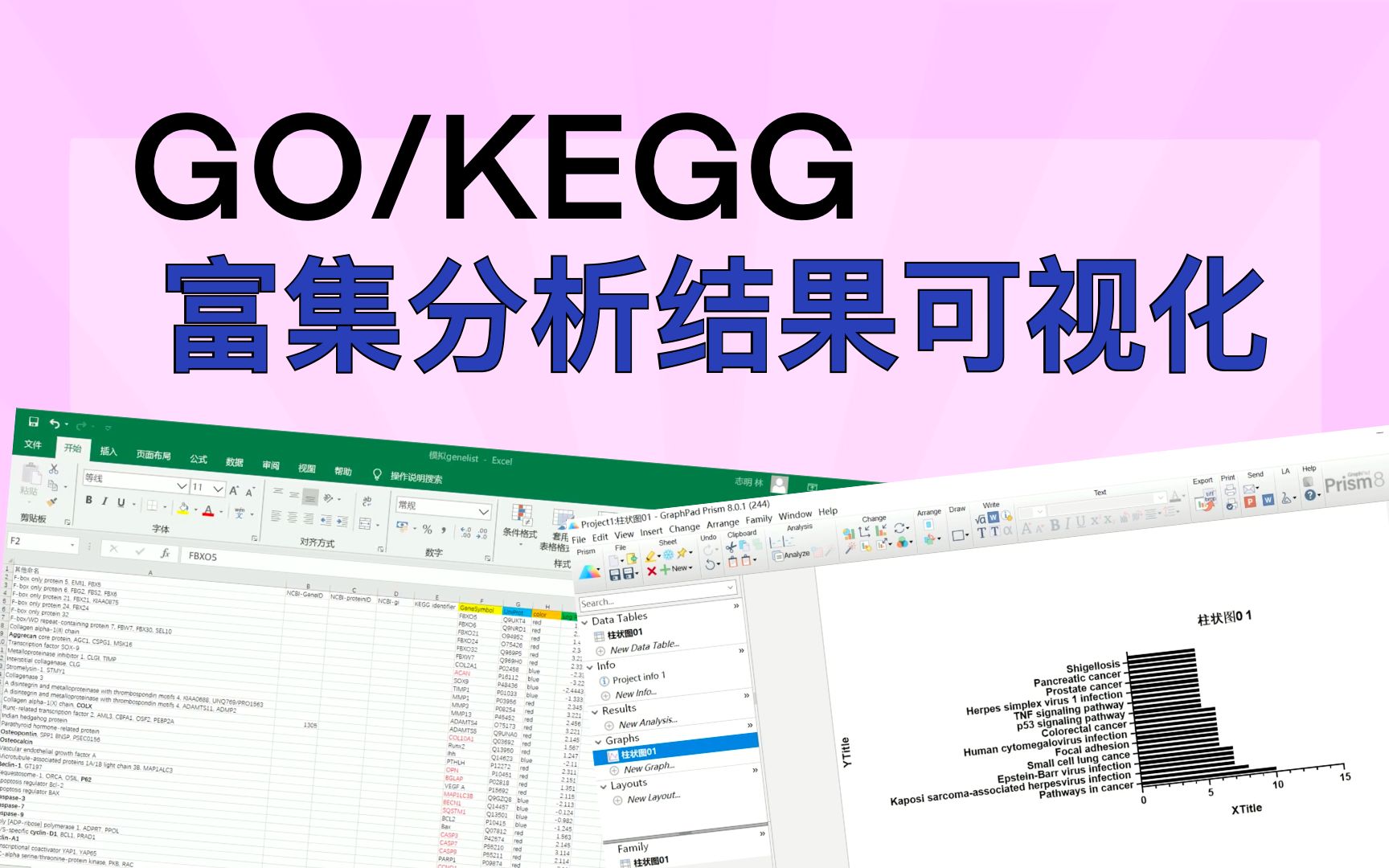 【简介区免费领课】【医学小白快速入门】GO/KEGG富集分析重难点梳理,富集分析可视化实操教学哔哩哔哩bilibili