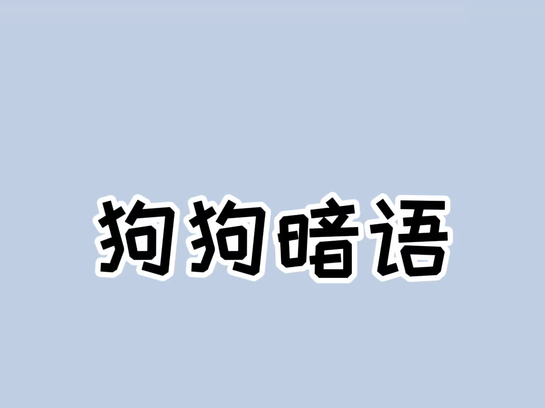 狗狗的暗语你能看懂几个?#狗狗知识大全 #狗语哔哩哔哩bilibili