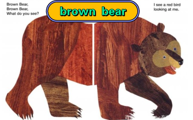 [图]适合幼儿园百本绘本-Brown Bear