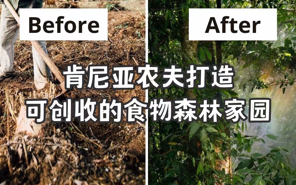 [图]进激的农夫将荒芜土地变成茂密的食物森林并开启可持续的家园生活