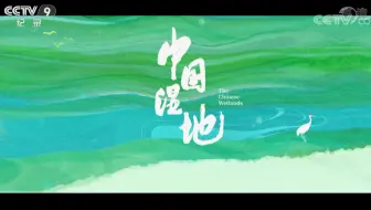【央视】纪录频道CCTV-9《中国湿地》