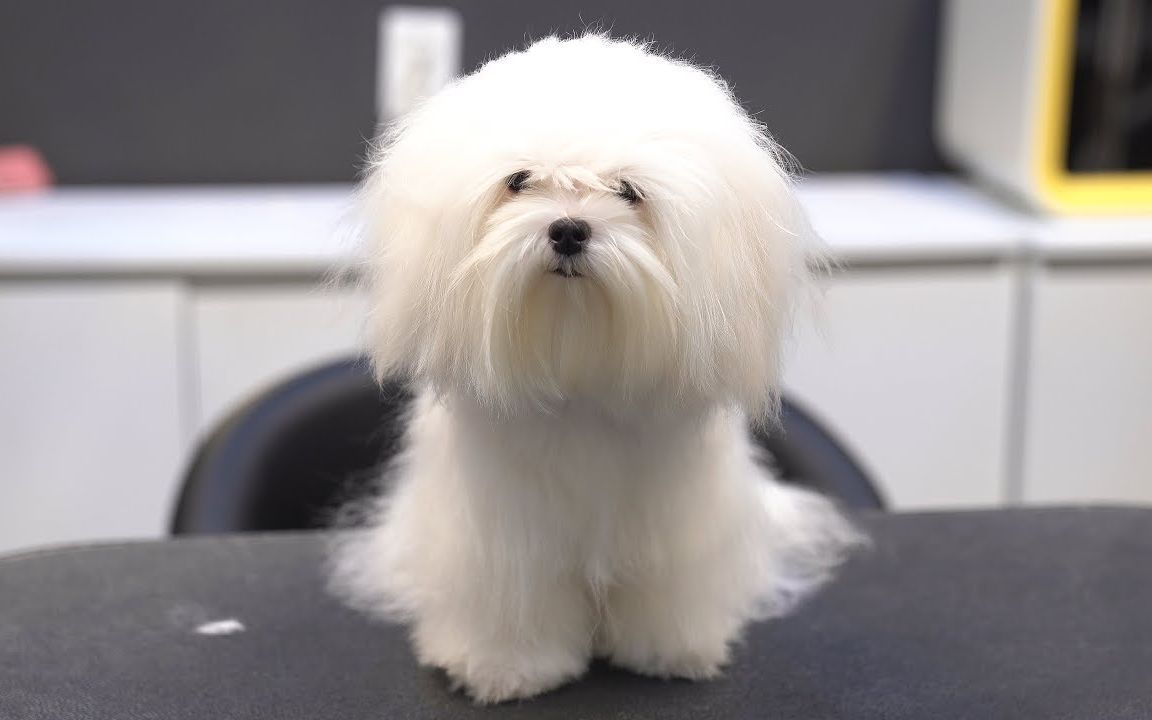 而市场信心缺失会导致美债被抛售