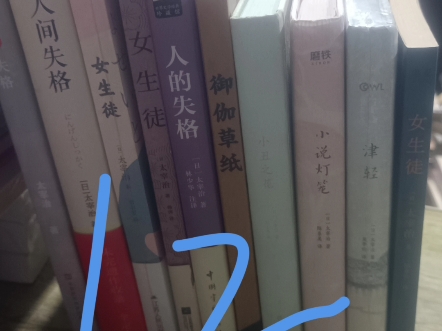 不仅有《人间失格》啊,还有《津轻》《小丑之花》《小说灯笼》《女生