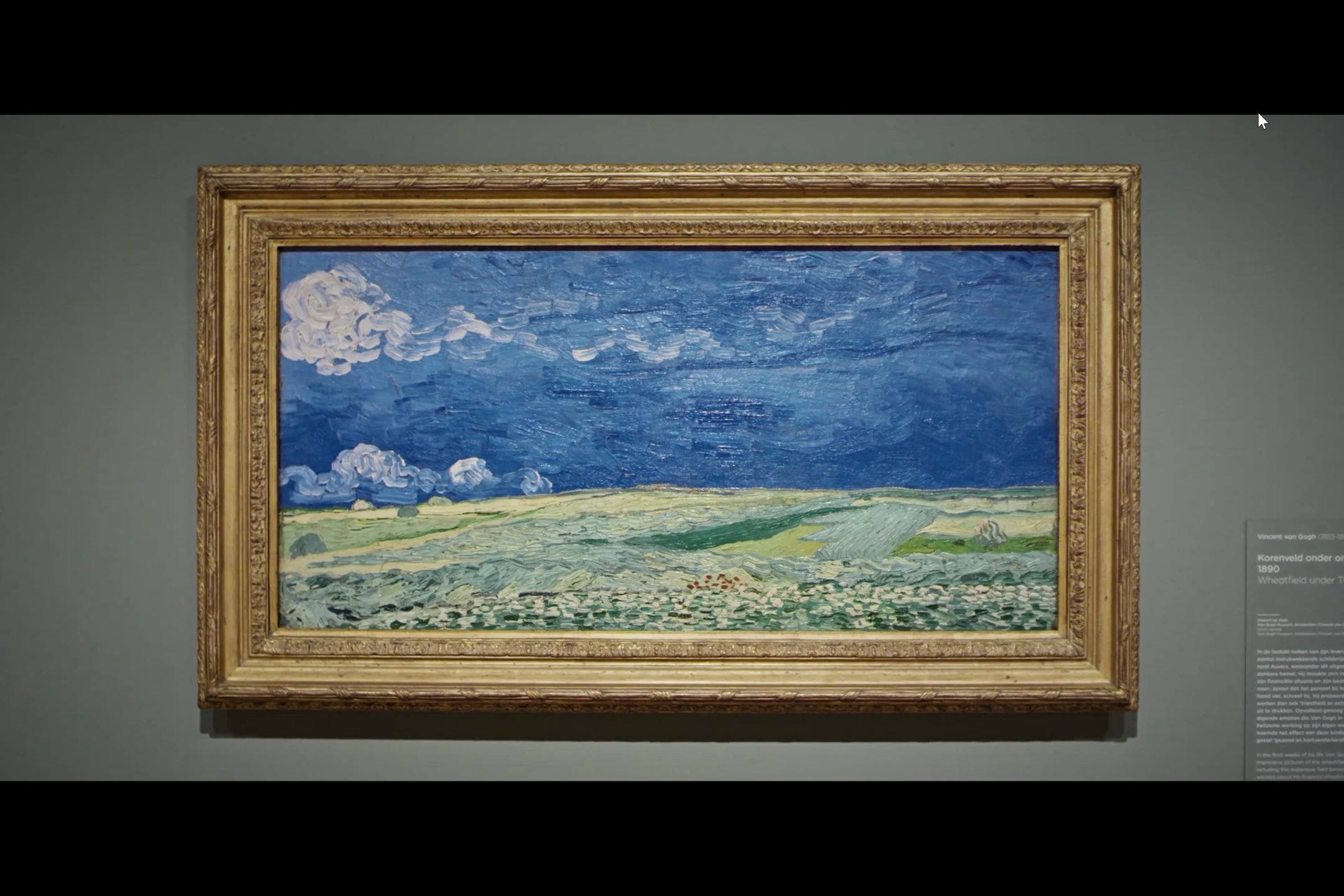 van gogh museum 梵高经典作品漫游 六