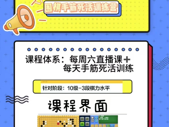 围棋思想家网课哔哩哔哩bilibili