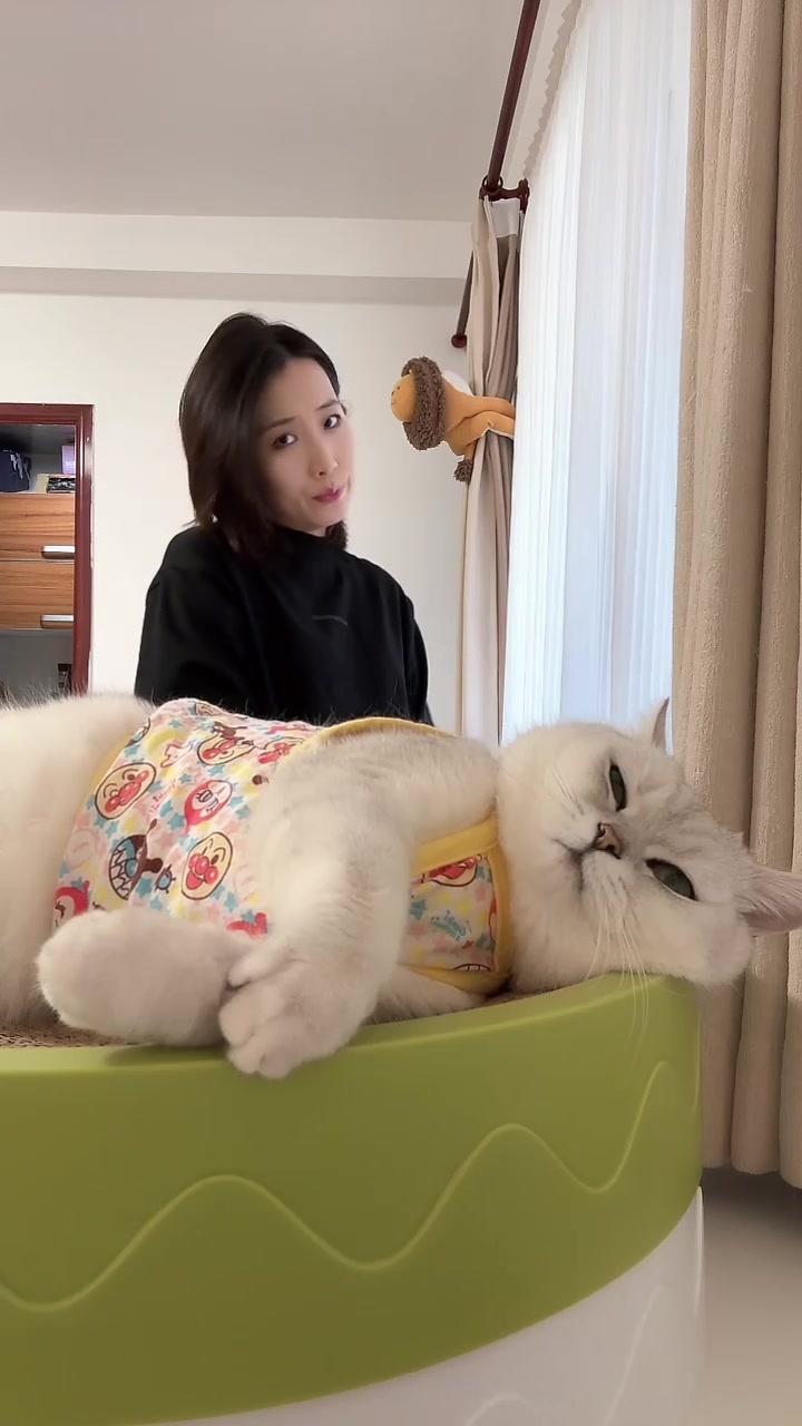 12 22芬儿头是猫不是猪