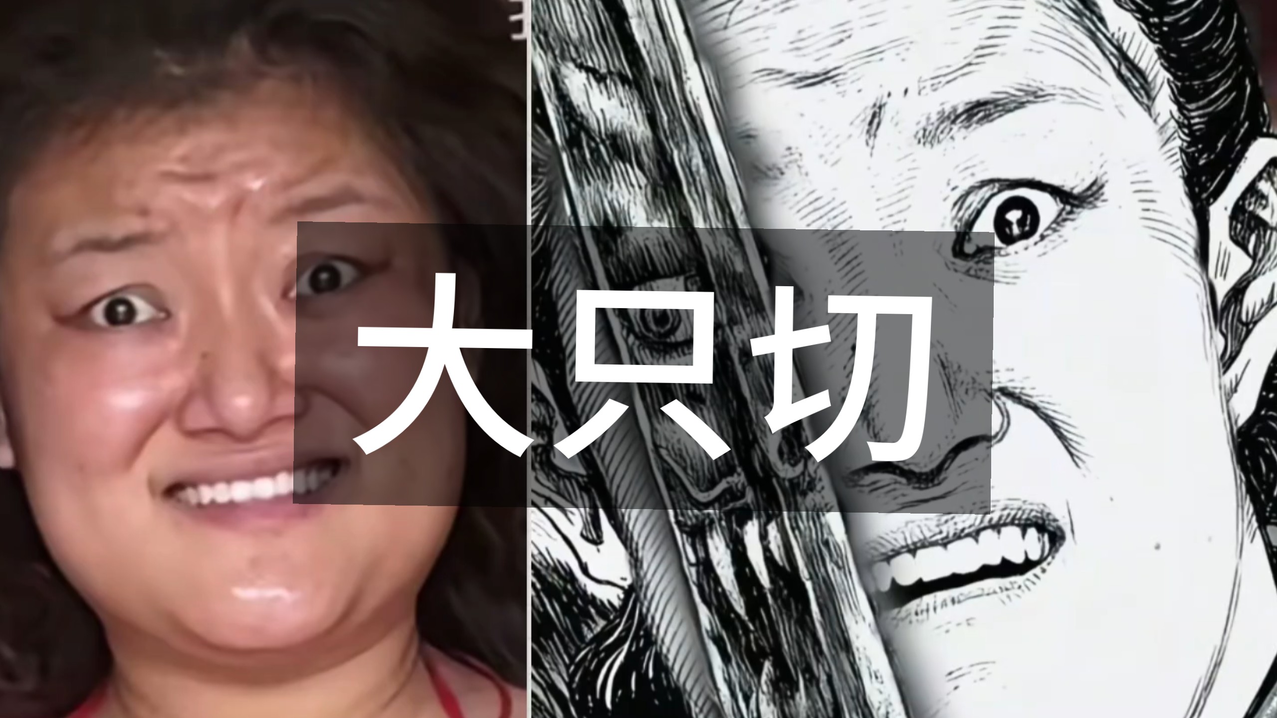 我已经10分钟没听大只切的故事了-绿羊羊龟龟-绿羊羊龟龟-哔哩哔哩视频