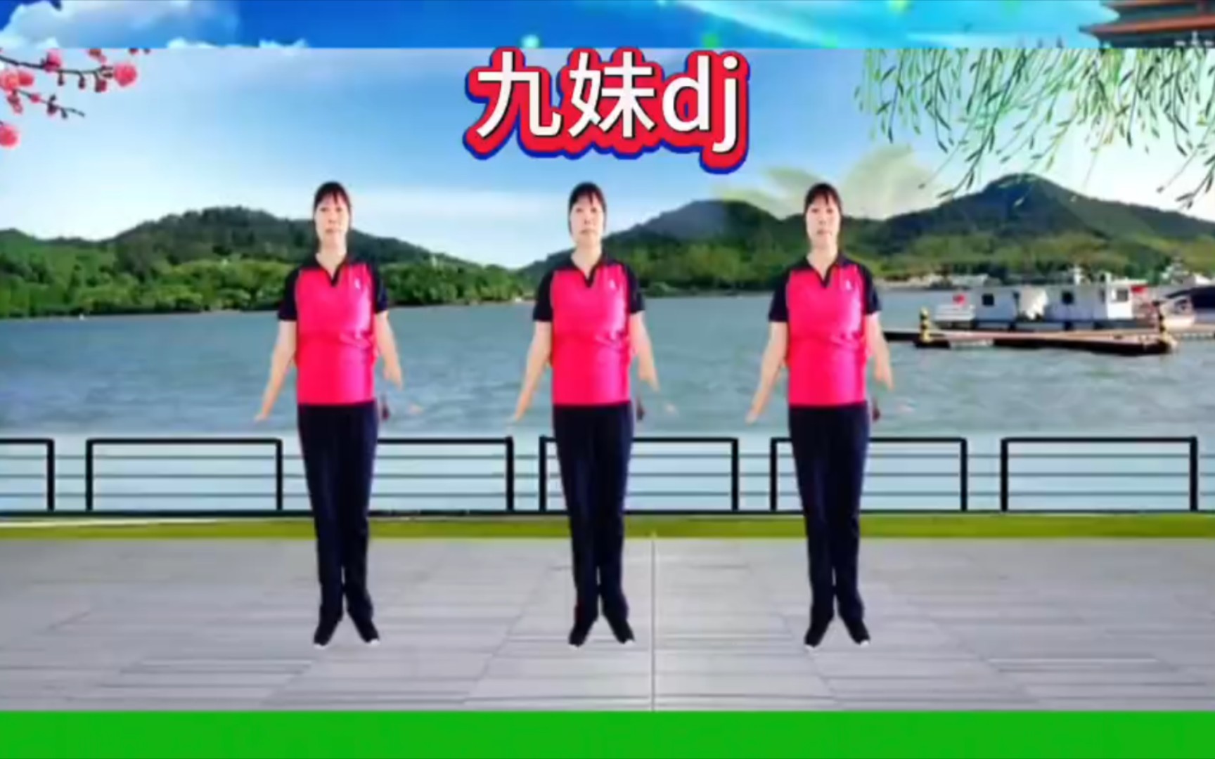 新歌推磨舞(九妹dj)正面跳