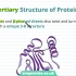 14.Proteins_ Tertiary and Quaternary Structure _ A-level Bio