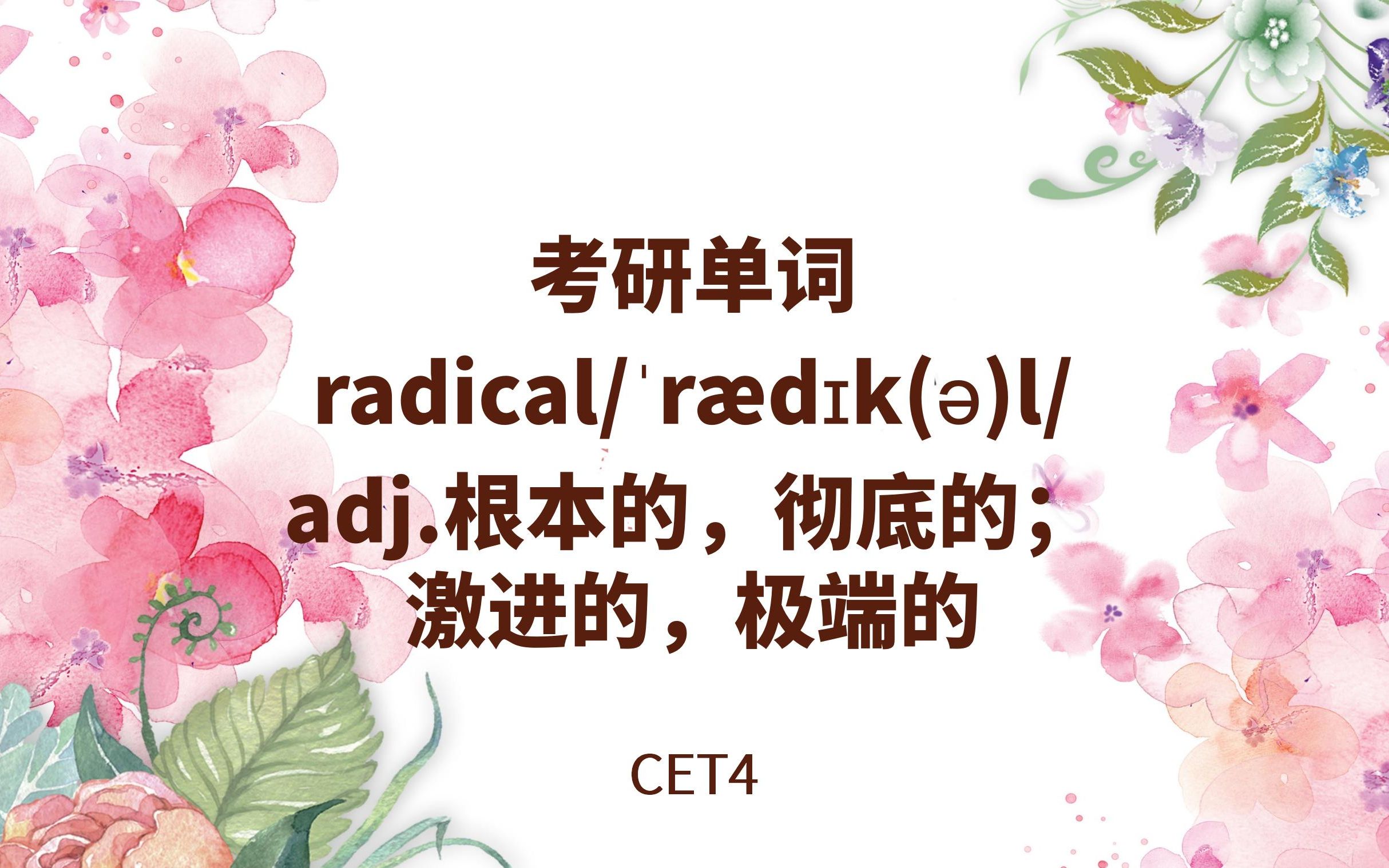 考研词汇记忆:radical(CET4)哔哩哔哩bilibili