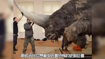 那些远比你想象中还要恐怖的史前巨兽
